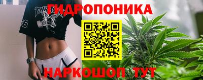 гашик Ставрополь