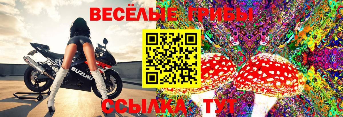 Анапа  Псилоцибиновые грибы Psilocybe  Вход с VPN  Псилоцибиновые грибы GOLDEN TEACHER 